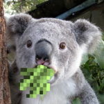 File:150px-5019176.png