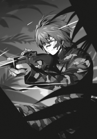 File:Vol9-LN-205.png