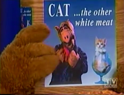 Cat...the other white meat