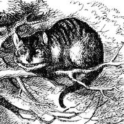 Tenniel-Cheshire.jpg