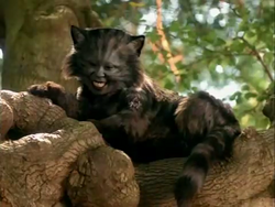 1999-Cheshire.png