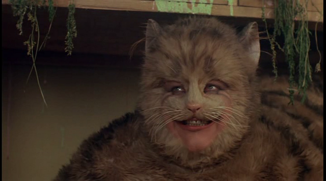 Archivo:Cheshire-1972.png