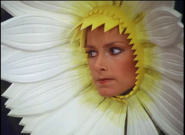 Archivo:Margarita-1985.png