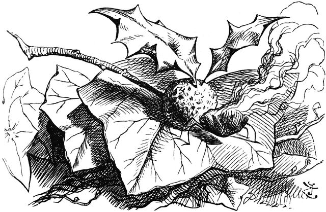 File:2book15.jpg