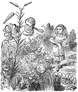 The Flowers | Alice in Wonderland Wiki | FANDOM powered by Wikia