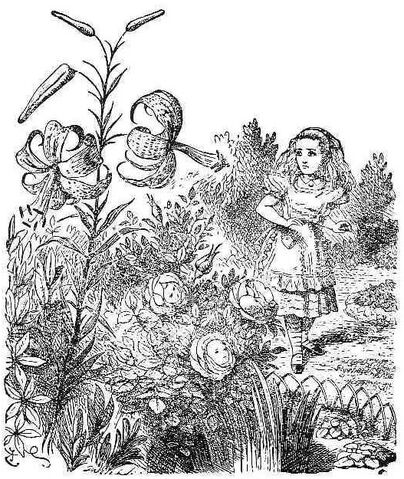 File:53flowers.jpg