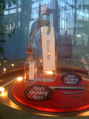 File:Alice-in-Wonderland-Disney-Expo-alice-in-wonderland-2009-8095099-570-760.jpg