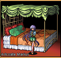 Arlcoate-Harem-KR
