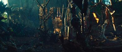 Avp2