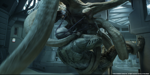 TrilobiteImpregnatesEngineer.png