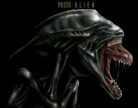 Diakon