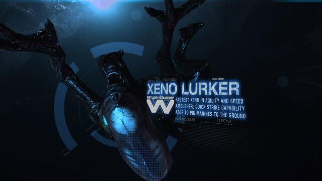 File:Xeno-lurker.jpg