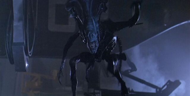 File:AliensQueenArm dvd1.jpg