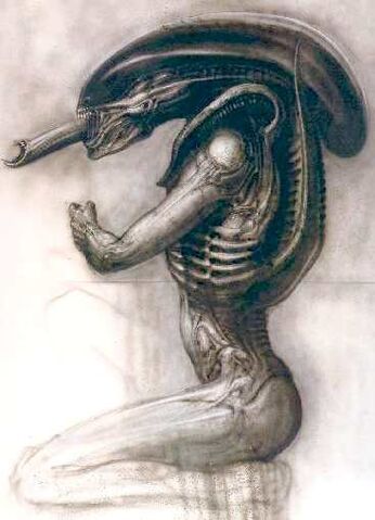 File:Alien Concept 1.jpg