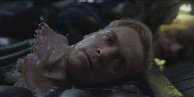 File:David's head.jpg