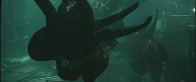 File:Alienswimming.jpg