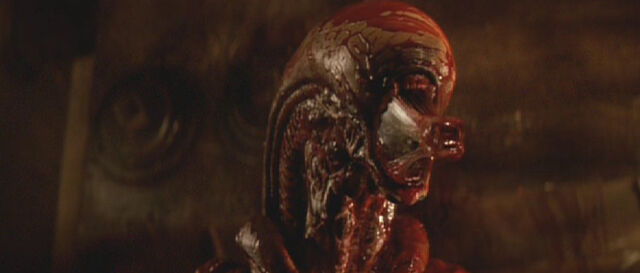 File:Dogalienbirth.jpg