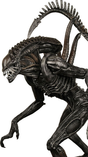 Alien warrior1