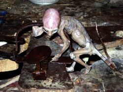 Metepec Alien