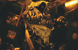 Zorgons