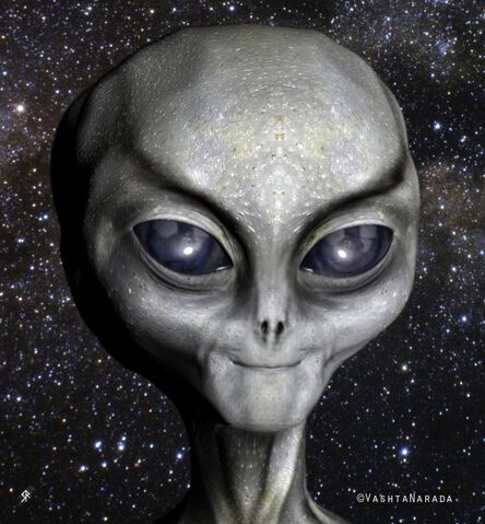 File:Zeta grey face real zoom.jpg