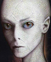 Kalenia 1 (1)