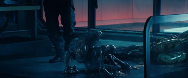 File:Independence day Alien outside.jpg
