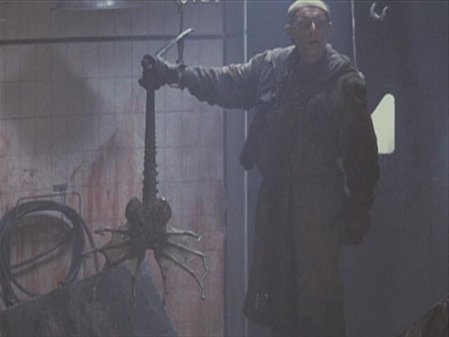 File:A queen facehugger.jpg
