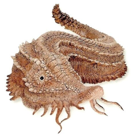 File:Duracreteslug.jpg