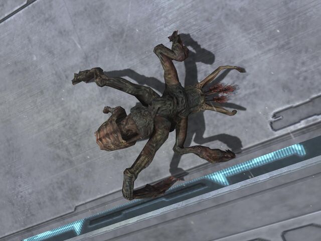 File:Flood Stalker.jpg