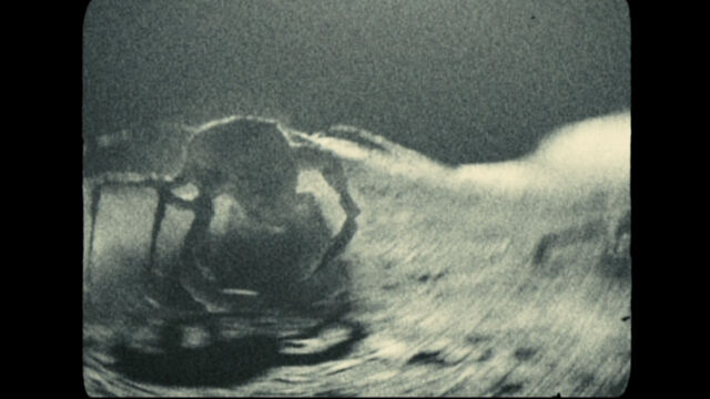 File:Apollo18bigcrab.jpg