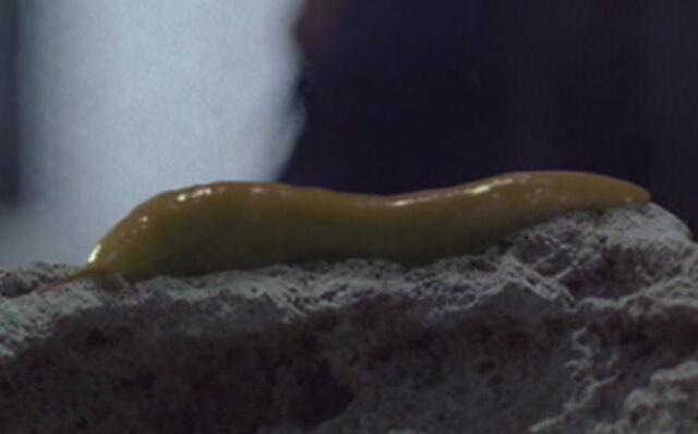 File:Sluggo.jpg