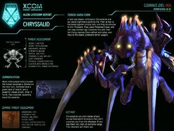 Chryssalid 2012