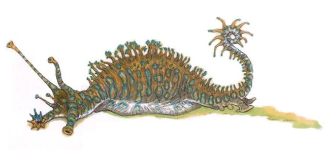 File:Granite Slug.jpg