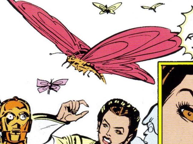 File:Antarean Poisonous Butterfly.jpg