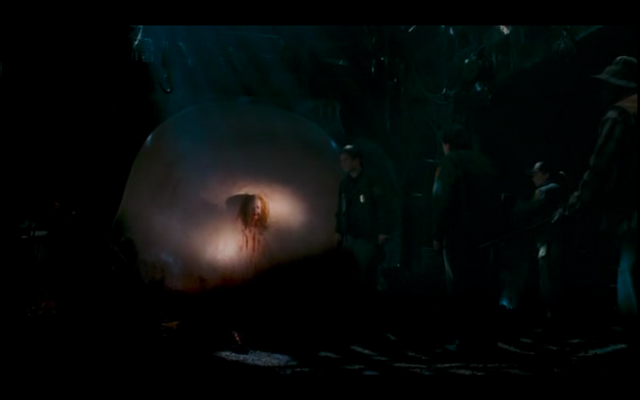 File:Picture 3.png