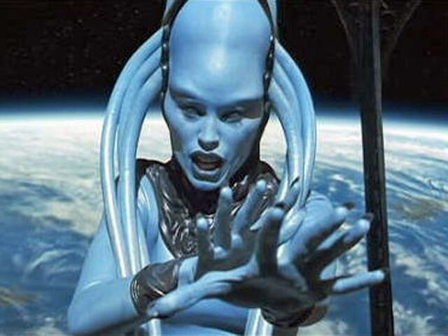 File:Diva-Plavalaguna.jpg