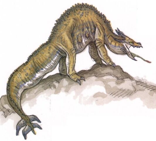 File:Canyon Krayt Dragon.jpg