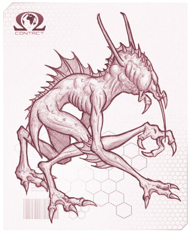 File:Chupacabra5.jpg
