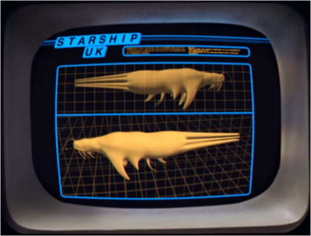 File:Star Whale.png