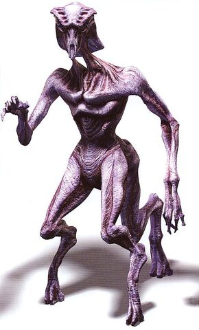 File:Species8472.jpg