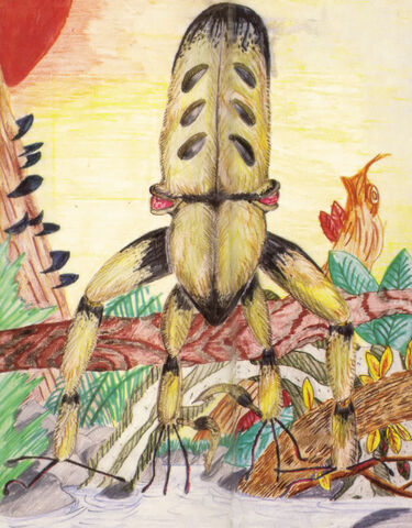 File:Critokian.jpg