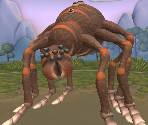 File:Baboonspider.png