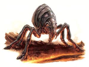 Mustafar Lava Flea