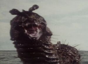 Drashig1