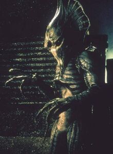 Alien Hunter 2003 Rapidshare Alien Hunter 2003 Rapidshare