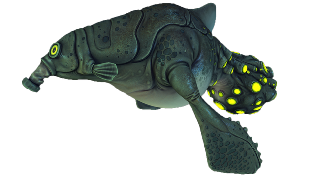 File:Gasopod Fauna.png