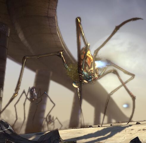 File:Drifter.jpg
