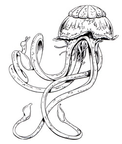 Kalduu