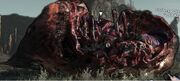 Rakkhive innards